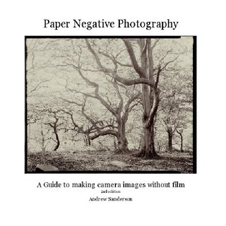 Paper Negative Photography