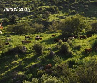 Israel 2013