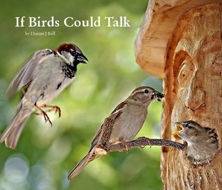 If Birds Could Talk