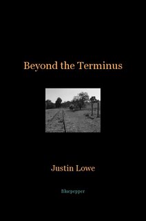 Beyond the Terminus