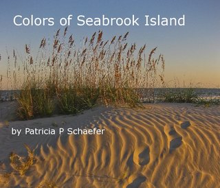 Colors of Seabrook Island by Patricia P Schaefer