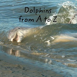 Dolphins from A to Z