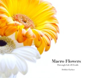 Macro Flowers