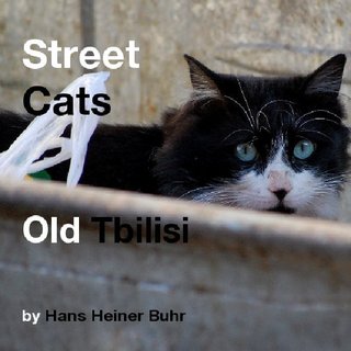 Street Cats Old Tbilisi