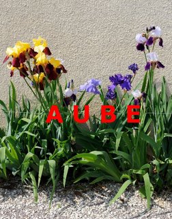 AUBE