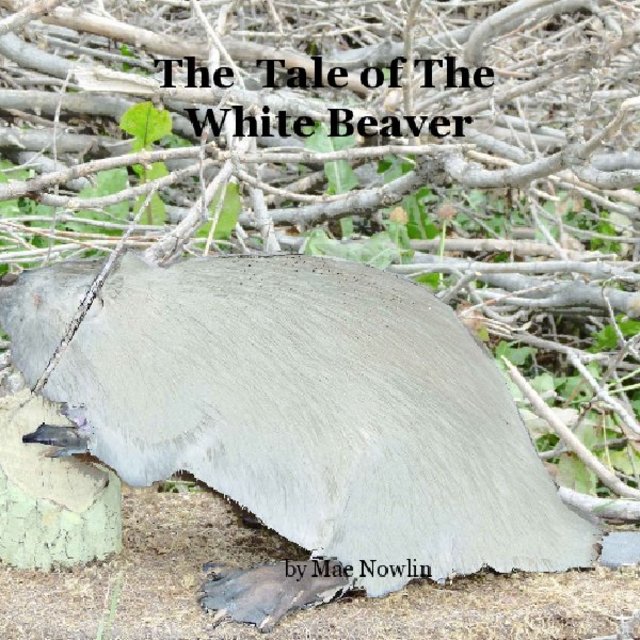 The Tale of The White Beaver