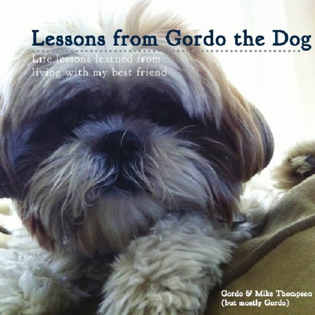 Lessons from Gordo the Dog