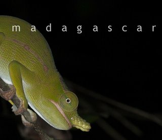 Madagascar - Northern Territories