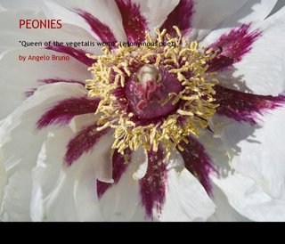 PEONIES