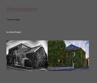 Minettsgéigend