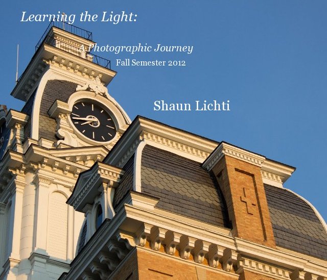 Learning the Light: