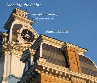 Learning the Light: