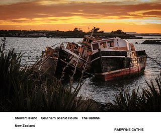 Stewart Island   Southern Scenic Route  The Catlins