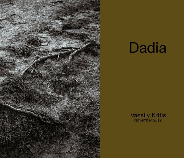 The forest of Dadia