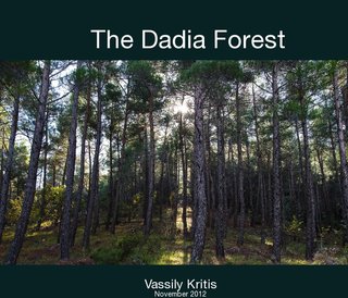 The Dadia Forest