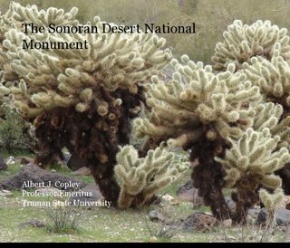 The Sonoran Desert National Monument