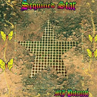 Sequined Star