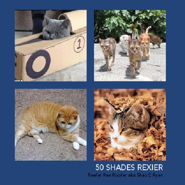 50 Shades Rexier