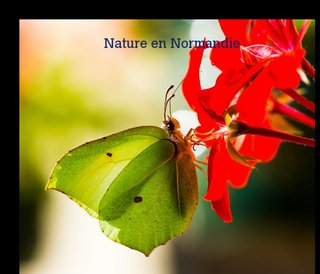 Nature en Normandie 2013 n°2