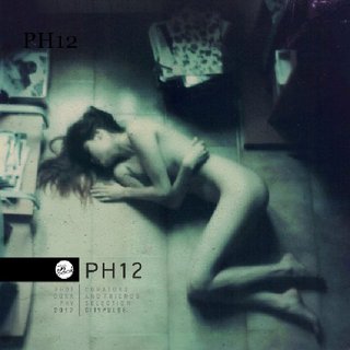 PH12 / Photography 2012