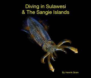 Diving in Sulawesi & The Sangie Islands