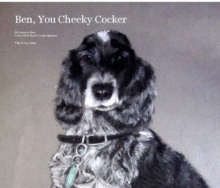 Ben, You Cheeky Cocker
