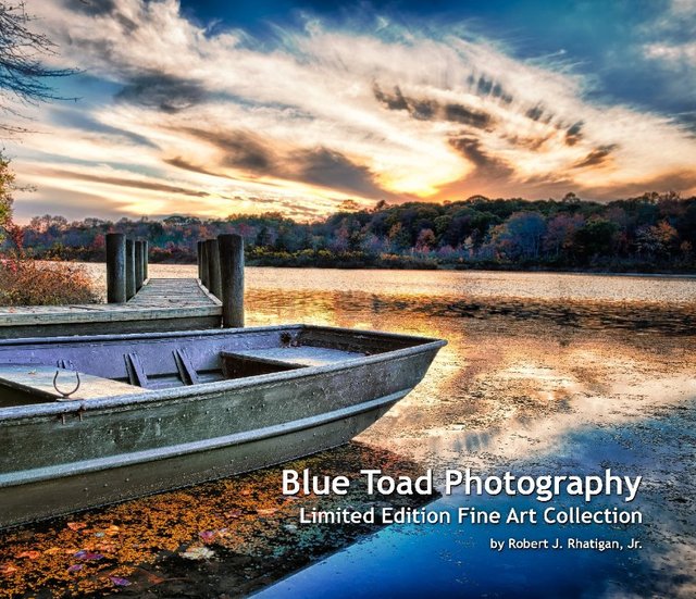 Blue Toad Photography