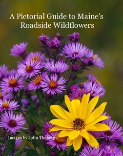 A Pictorial Guide to Maine's Roadside Wildflowers