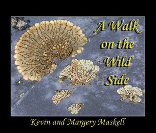 A Walk on the Wild Side