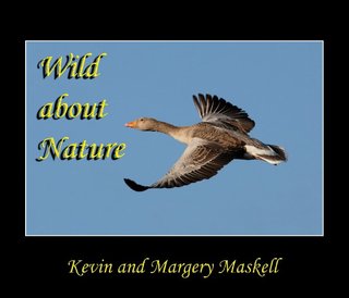 Wild about Nature