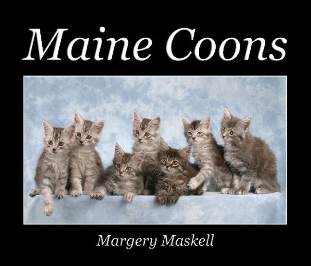 Maine Coons