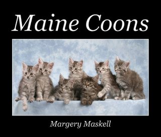 Maine Coons