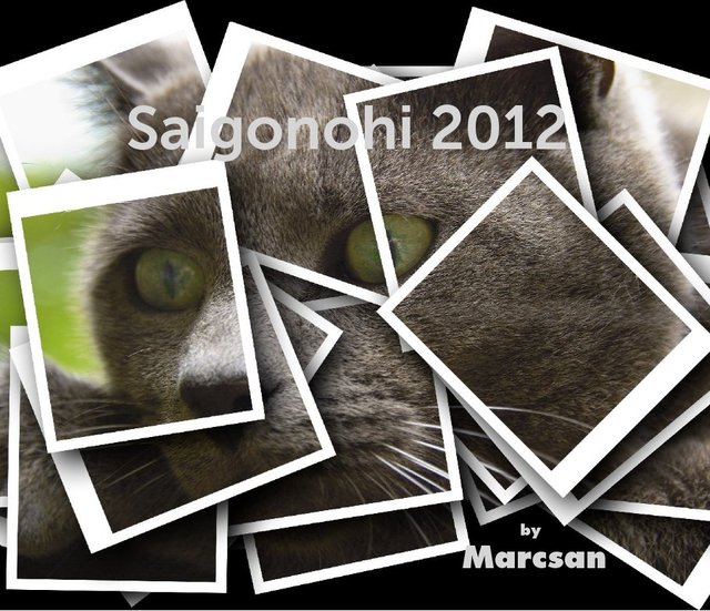 Saigonohi 2012