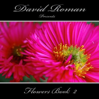 David Roman  presents Flowers 2