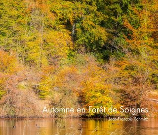 Automne en Forêt de Soignes
