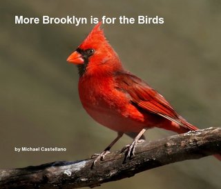More Brooklyn is for the Birds