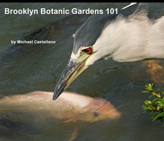 Brooklyn Botanic Gardens 101