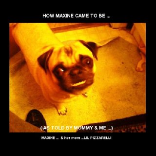 HOW MAXINE CAME TO BE ...