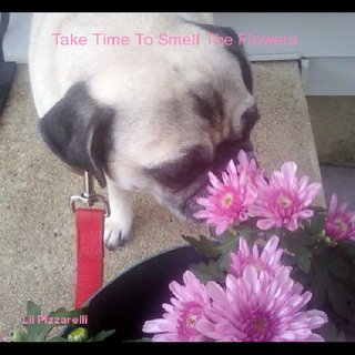 Take Time To Smell The Flowers
