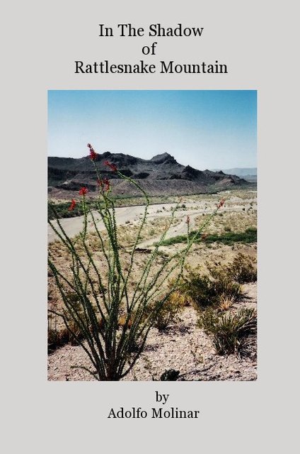In The Shadow of Rattlesnake Mountain