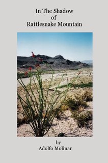 In The Shadow of Rattlesnake Mountain