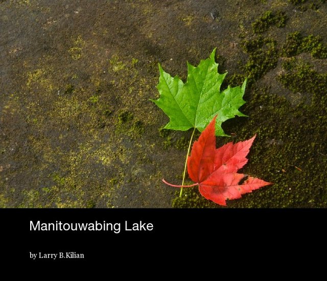 Manitouwabing Lake