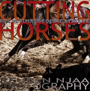 Cutting Horses 