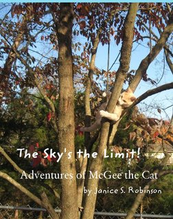 The Sky's the Limit!