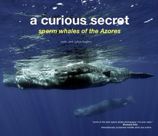 A Curious Secret: