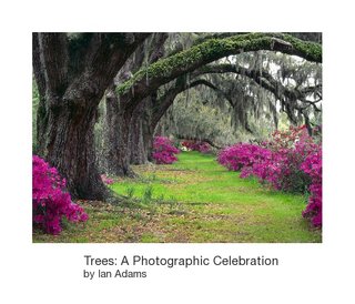 Trees: A Photographic Celebration