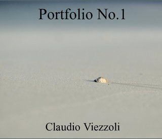 Portfolio No.1 Claudio Viezzoli