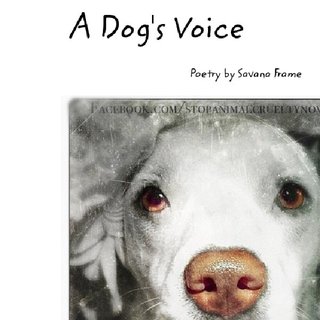 A Dog's Voice