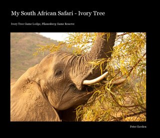 My South African Safari - Ivory Tree