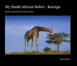 My South African Safari
